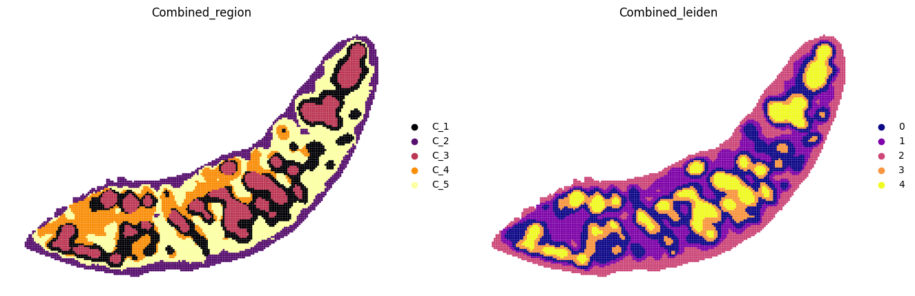 ../_images/notebooks_run_DIRAC_mouse_spleen_bin100_23_2.png