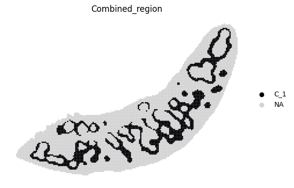 ../_images/notebooks_run_DIRAC_mouse_spleen_bin100_23_6.png