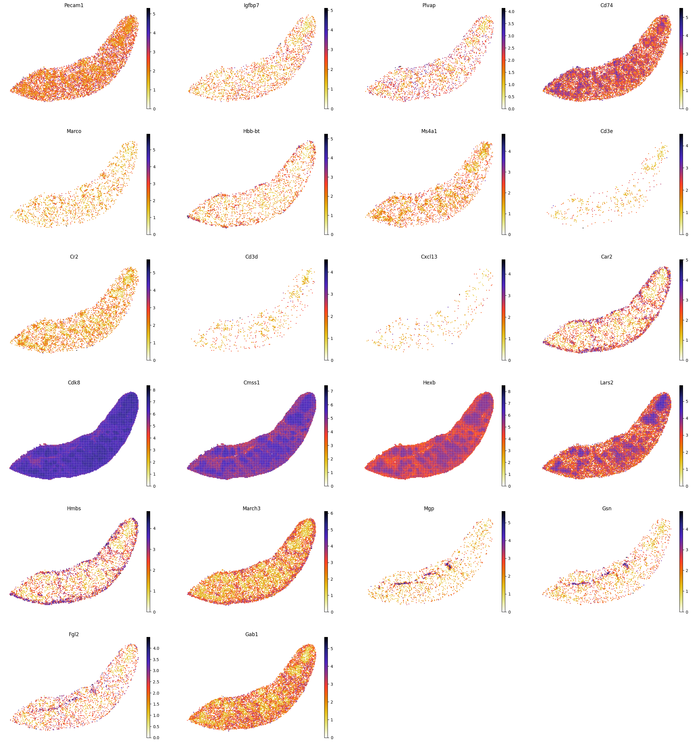 ../_images/notebooks_run_DIRAC_mouse_spleen_bin100_44_0.png
