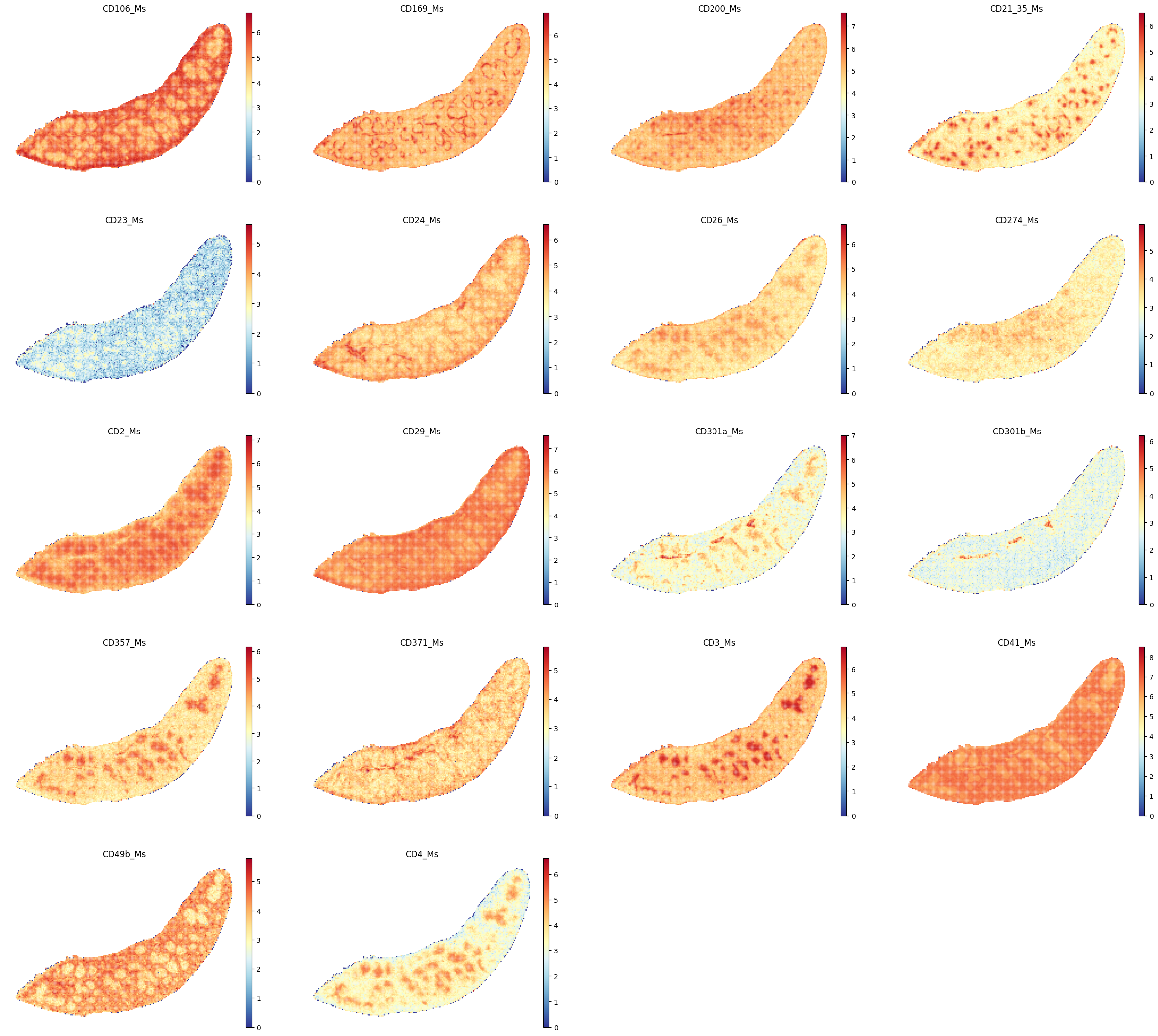 ../_images/notebooks_run_DIRAC_mouse_spleen_bin100_45_0.png