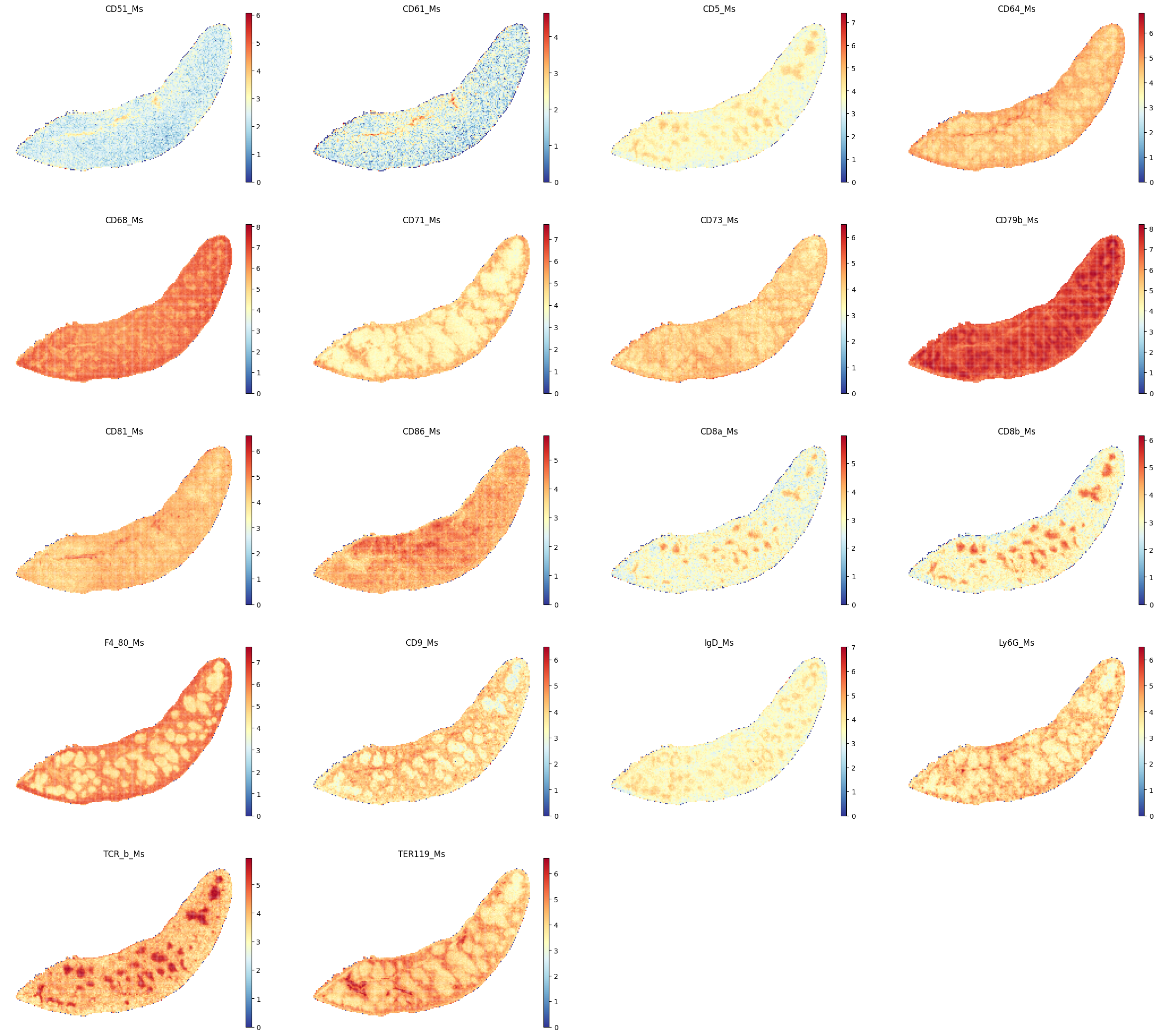../_images/notebooks_run_DIRAC_mouse_spleen_bin100_45_1.png