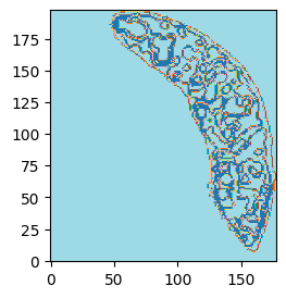 ../_images/notebooks_run_DIRAC_mouse_spleen_bin100_48_0.png
