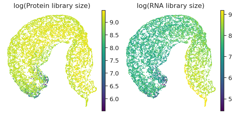 ../_images/notebooks_run_DIRAC_mouse_spleen_bin100_57_0.png