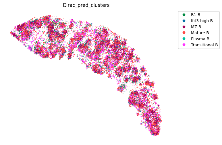 ../_images/notebooks_run_DIRAC_mouse_spleen_cellbin_26_2.png