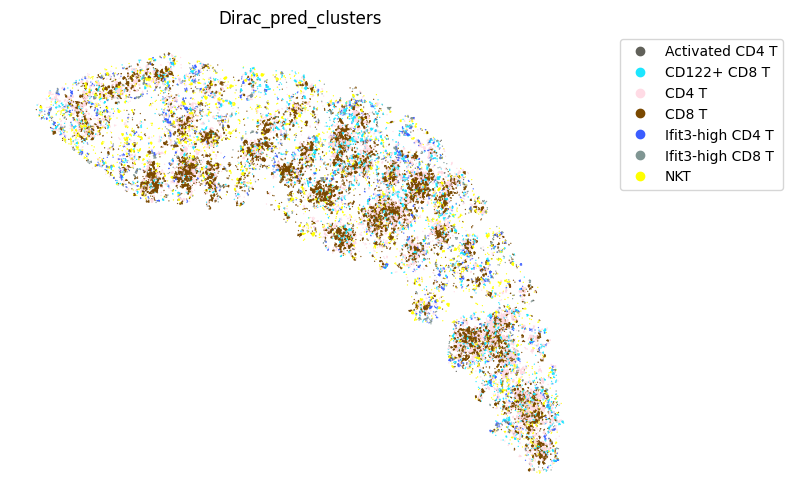 ../_images/notebooks_run_DIRAC_mouse_spleen_cellbin_26_8.png