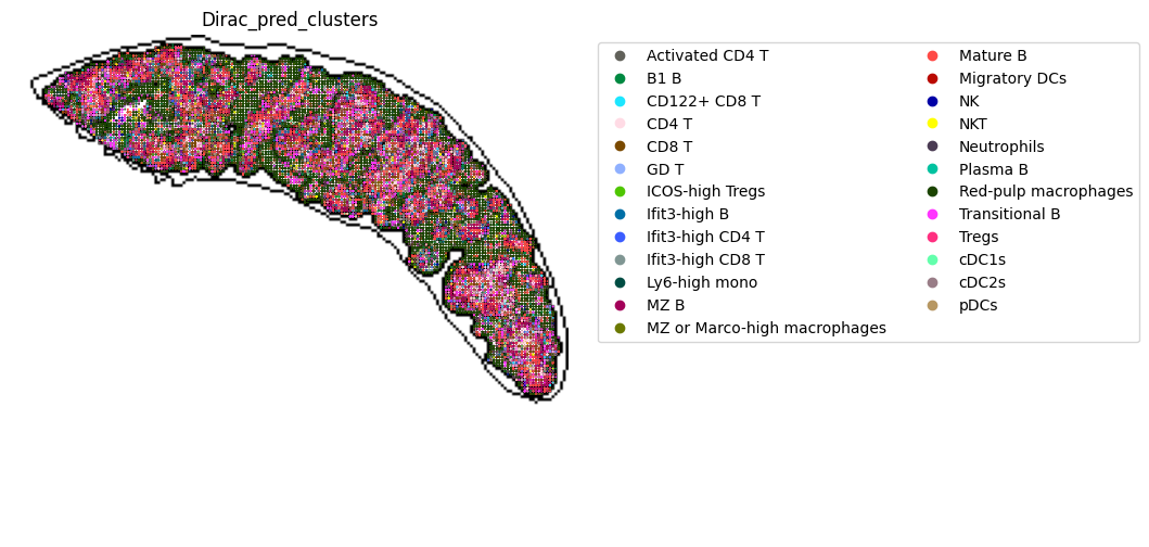 ../_images/notebooks_run_DIRAC_mouse_spleen_cellbin_29_0.png