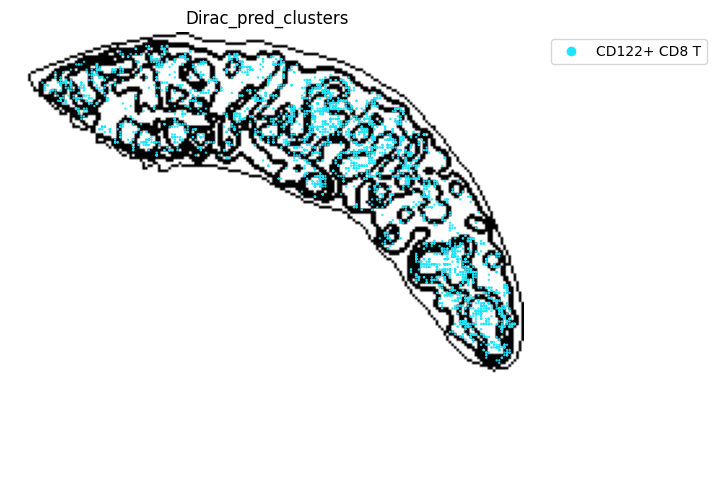 ../_images/notebooks_run_DIRAC_mouse_spleen_cellbin_29_12.png
