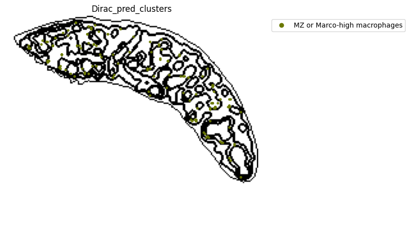 ../_images/notebooks_run_DIRAC_mouse_spleen_cellbin_29_16.png