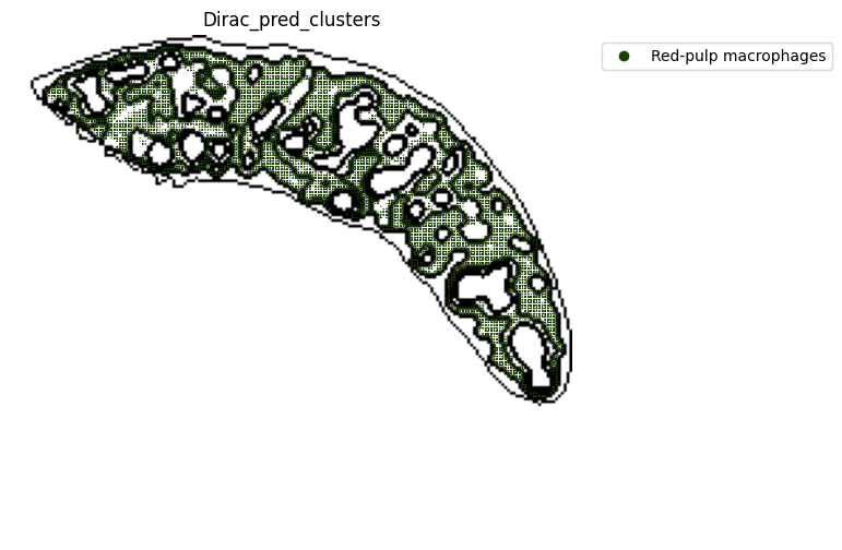 ../_images/notebooks_run_DIRAC_mouse_spleen_cellbin_29_2.png
