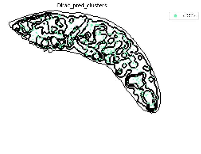 ../_images/notebooks_run_DIRAC_mouse_spleen_cellbin_29_22.png