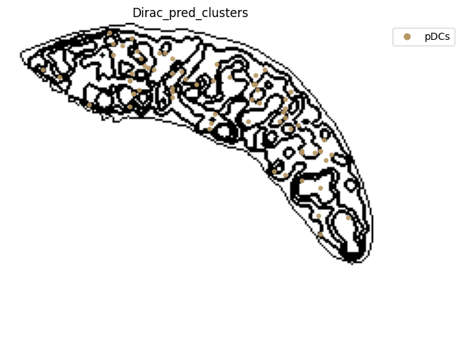 ../_images/notebooks_run_DIRAC_mouse_spleen_cellbin_29_25.png