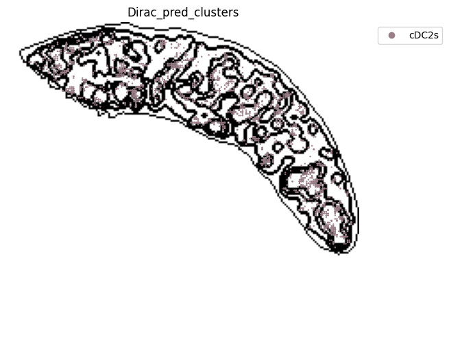 ../_images/notebooks_run_DIRAC_mouse_spleen_cellbin_29_5.png