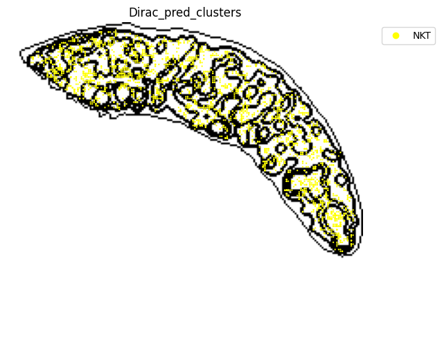 ../_images/notebooks_run_DIRAC_mouse_spleen_cellbin_29_9.png