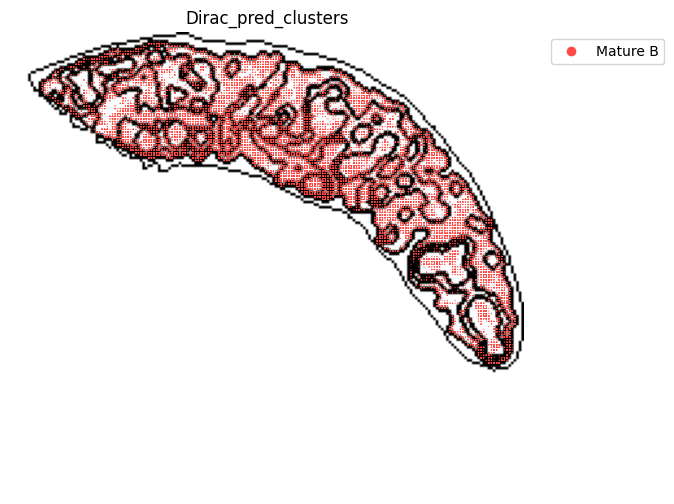 ../_images/notebooks_run_DIRAC_mouse_spleen_cellbin_41_2.png