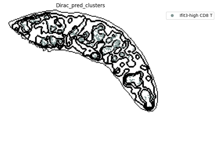 ../_images/notebooks_run_DIRAC_mouse_spleen_cellbin_41_21.png