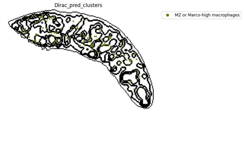 ../_images/notebooks_run_DIRAC_mouse_spleen_cellbin_41_26.png