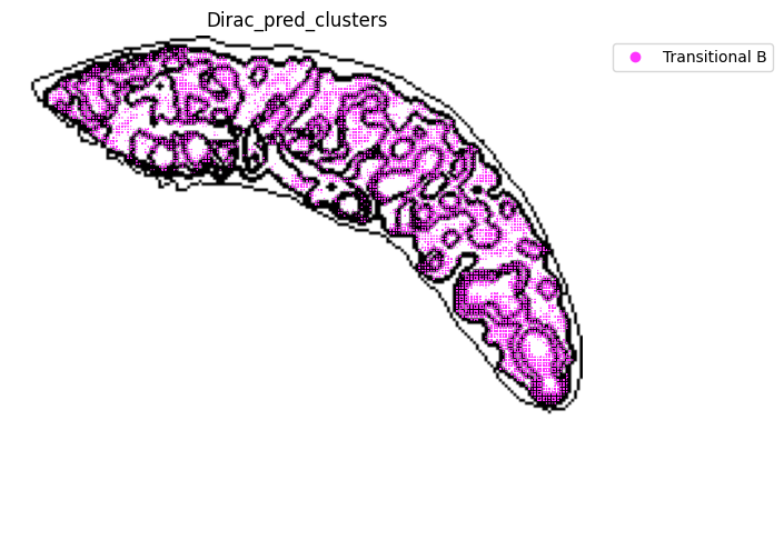 ../_images/notebooks_run_DIRAC_mouse_spleen_cellbin_41_4.png