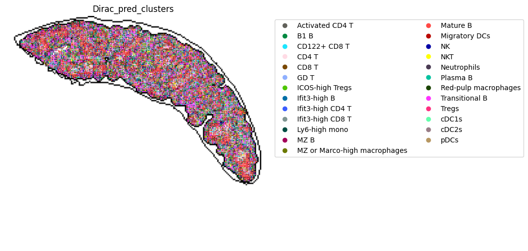 ../_images/notebooks_run_DIRAC_mouse_spleen_cellbin_50_0.png