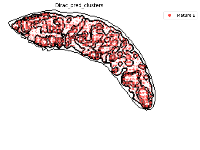 ../_images/notebooks_run_DIRAC_mouse_spleen_cellbin_50_12.png