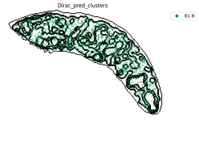 ../_images/notebooks_run_DIRAC_mouse_spleen_cellbin_50_18.png