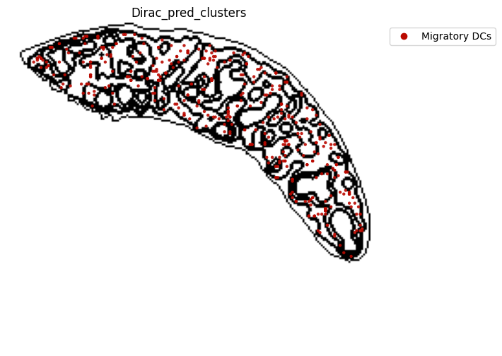 ../_images/notebooks_run_DIRAC_mouse_spleen_cellbin_50_19.png