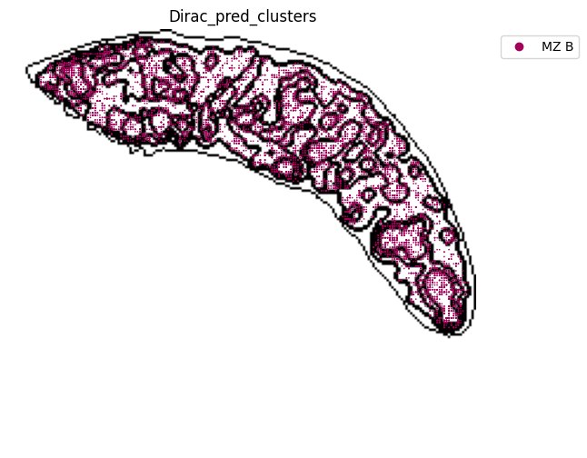 ../_images/notebooks_run_DIRAC_mouse_spleen_cellbin_50_20.png