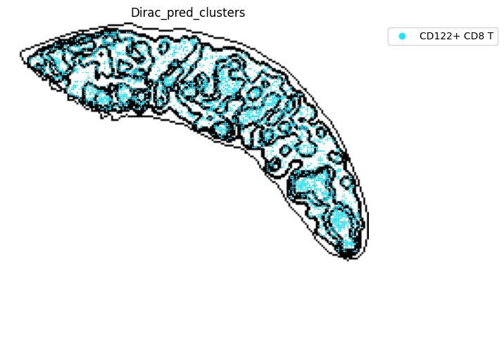 ../_images/notebooks_run_DIRAC_mouse_spleen_cellbin_50_22.png