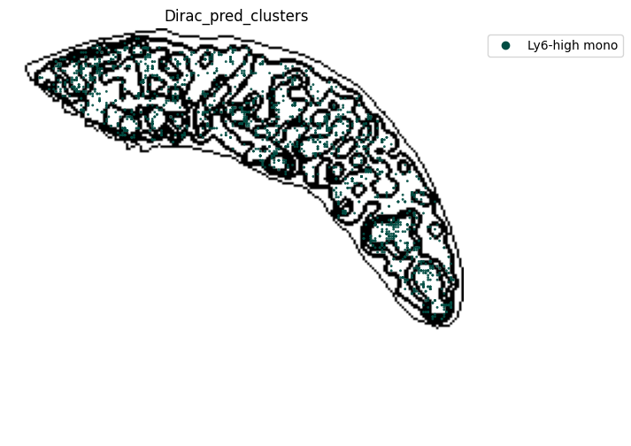 ../_images/notebooks_run_DIRAC_mouse_spleen_cellbin_50_24.png