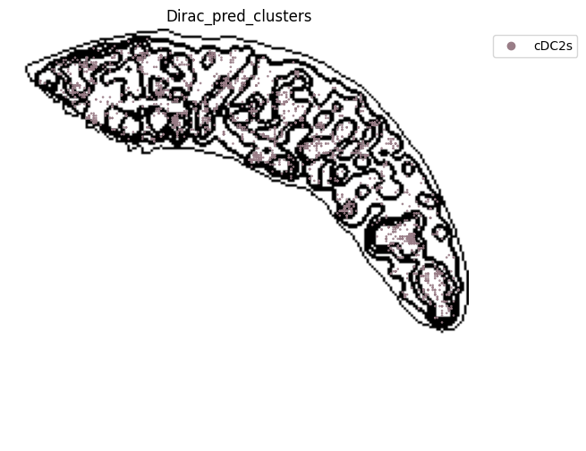 ../_images/notebooks_run_DIRAC_mouse_spleen_cellbin_50_25.png
