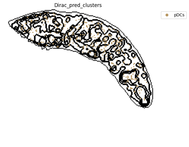 ../_images/notebooks_run_DIRAC_mouse_spleen_cellbin_50_26.png