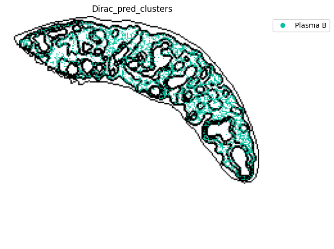 ../_images/notebooks_run_DIRAC_mouse_spleen_cellbin_50_7.png