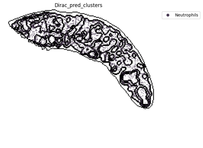 ../_images/notebooks_run_DIRAC_mouse_spleen_cellbin_50_8.png